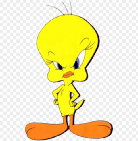 tweety looking serious - tweety angry PNG images for graphic design