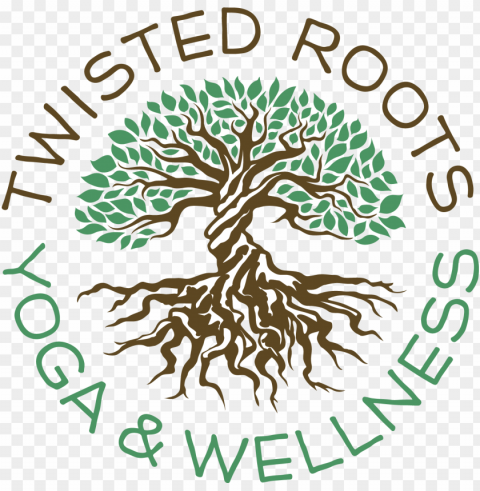 twisted roots yoga Transparent PNG Isolated Object with Detail