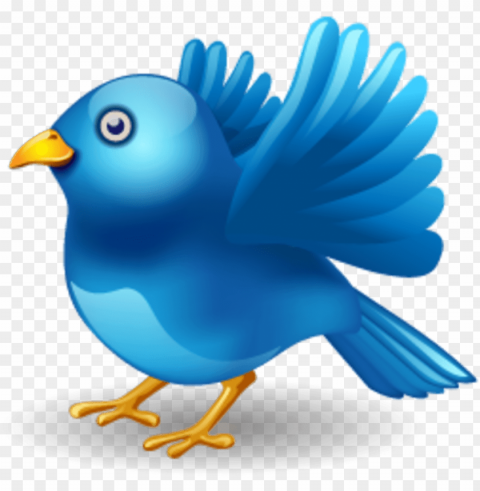 twitter bird PNG pictures with no background required PNG transparent with Clear Background ID b28c4252