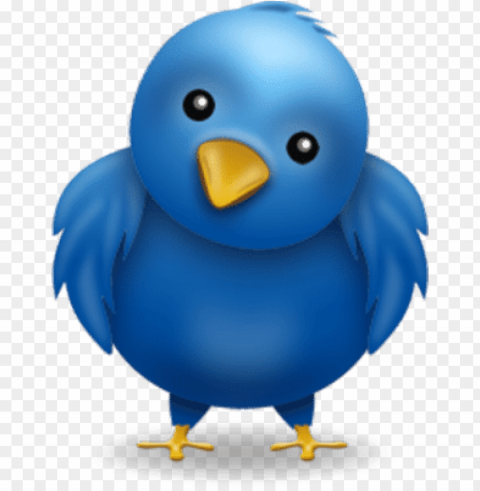 twitter-bird - blue twitter bird Isolated Subject in HighQuality Transparent PNG