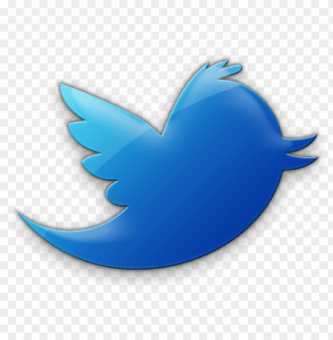 twitter bird icon transparent background PNG pictures with no backdrop needed