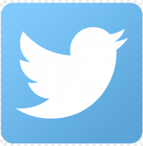 twitter-icon - twitter logo square Transparent PNG Isolated Illustrative Element