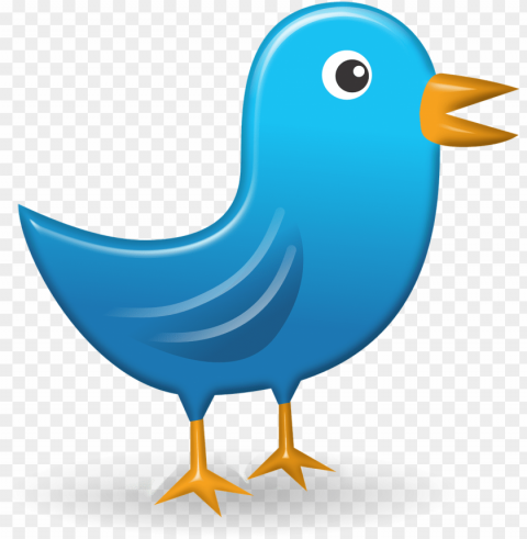 twitter icon web network bird image - bird tweet Transparent PNG images database
