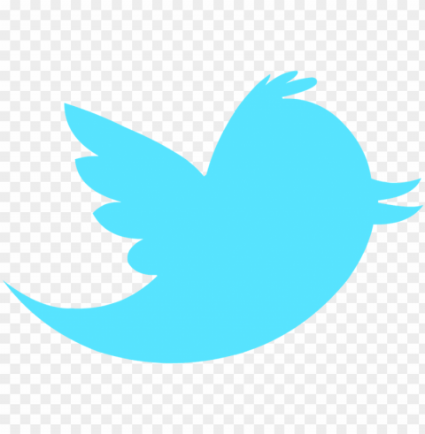 twitter icon without background PNG objects