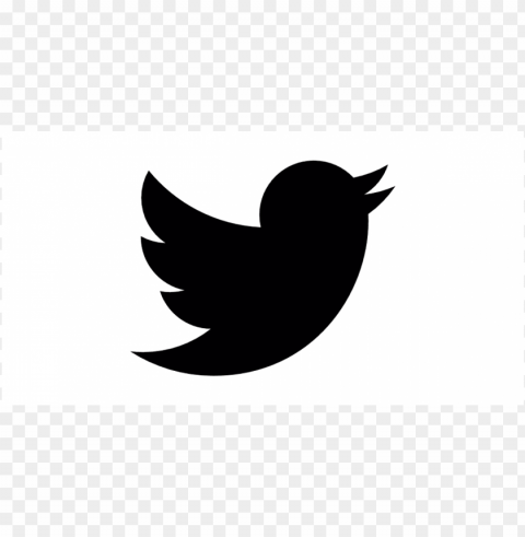 twitter logo Isolated Artwork in Transparent PNG