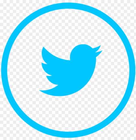 twitter logo icon social media icon and vector - twitter logo vector HighQuality Transparent PNG Isolation