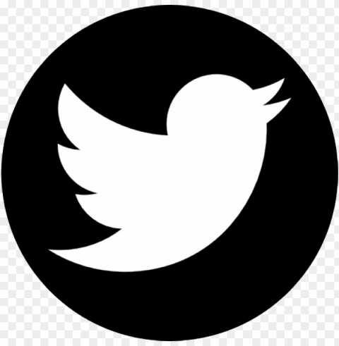 Twitter Logo No Background Transparent PNG Images Extensive Variety