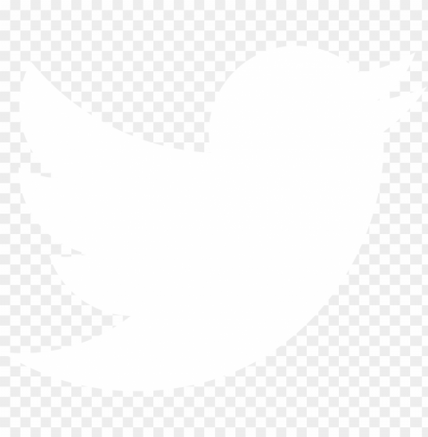 twitter logo download Transparent PNG images for graphic design
