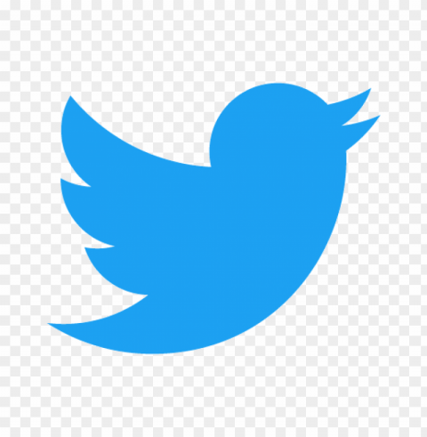 twitter logo vector Isolated Graphic on Clear Transparent PNG