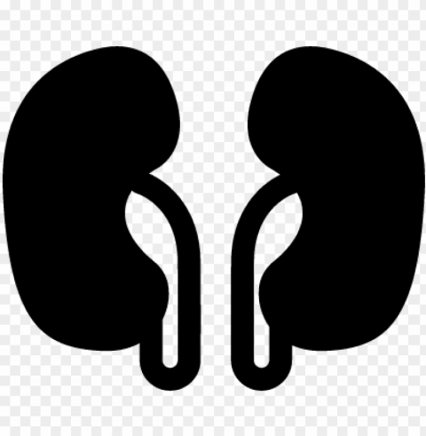 two kidneys vector - urology logo vectors free downloads PNG no watermark