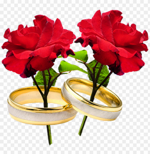 two red roses and wedding rings - wedding ring with flowers Transparent PNG images set