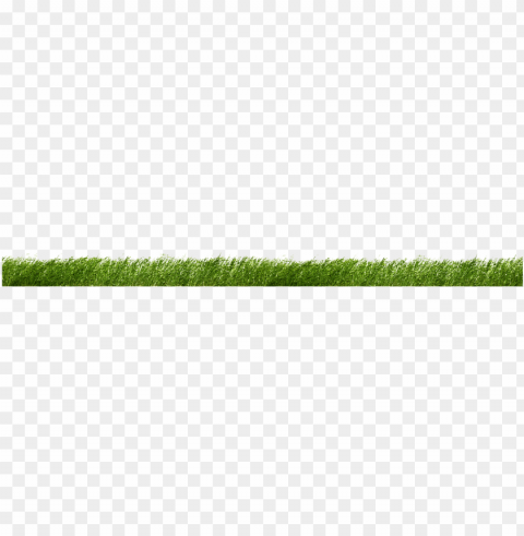two very refreshing guys - sweet grass Free PNG images with alpha transparency comprehensive compilation