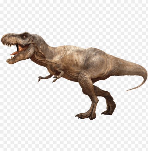 tyrannosaurus rex detail header - tyrannosaurus rex rexy Isolated Graphic with Transparent Background PNG