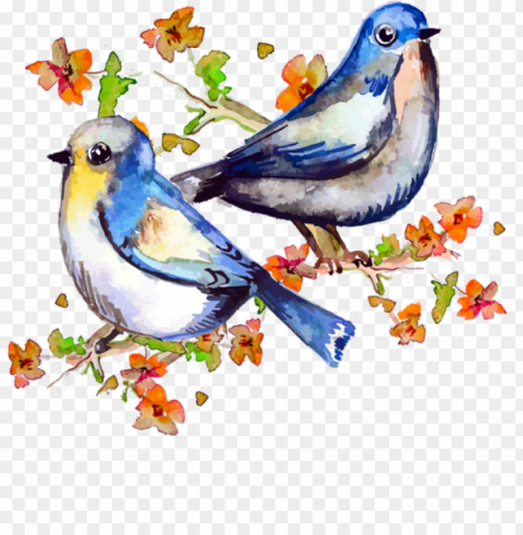 ublicat de eu ciresica la - spring birds watercolor PNG images free download transparent background PNG transparent with Clear Background ID da9319bf