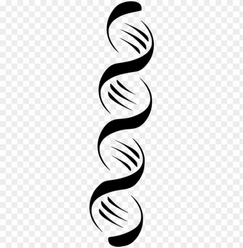 ucleic acid double helix a-dna computer icons - double helix dna vector Isolated Object with Transparent Background PNG