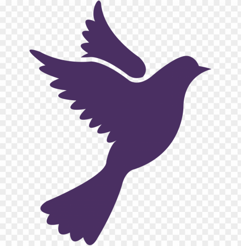 uestra boda palomas - pigeon vector PNG images with alpha background