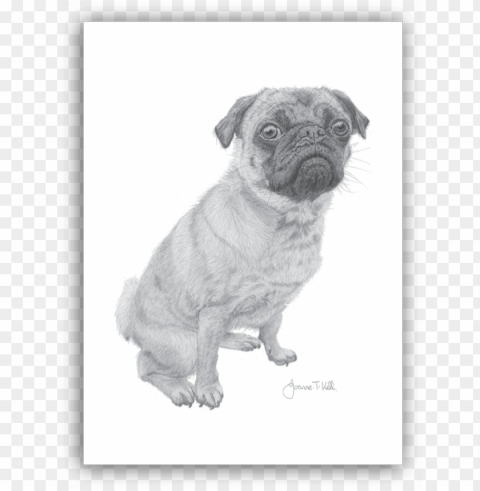 Ug Greeting Card - Pu Isolated Graphic On HighQuality Transparent PNG