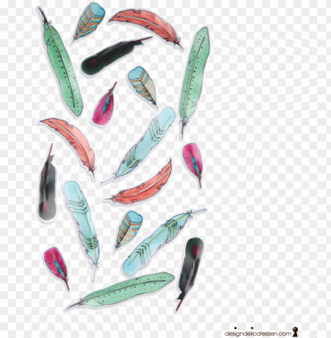 umbra feather Transparent PNG illustrations
