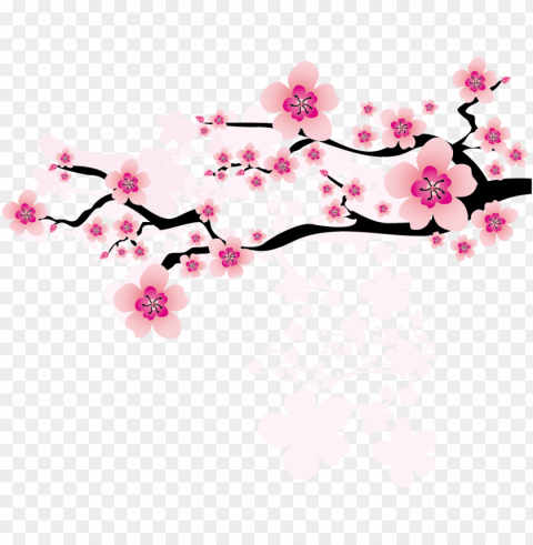 ume blossom clipart apricot blossom - chinese plum blossom clipart Alpha channel PNGs