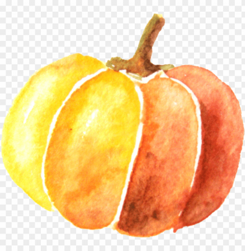 umpkin painting transprent free - pumpkin clip art watercolor PNG Image Isolated with Clear Background