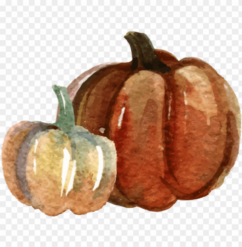 umpkin watercolor painting - pumpkin water color PNG transparent images bulk