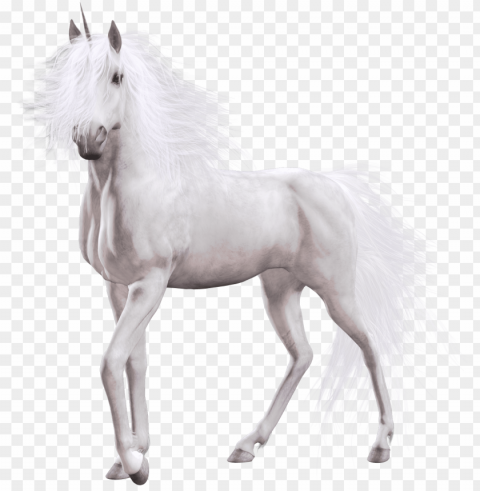 unicorn white horse Transparent PNG graphics archive PNG transparent with Clear Background ID 71fb1a36