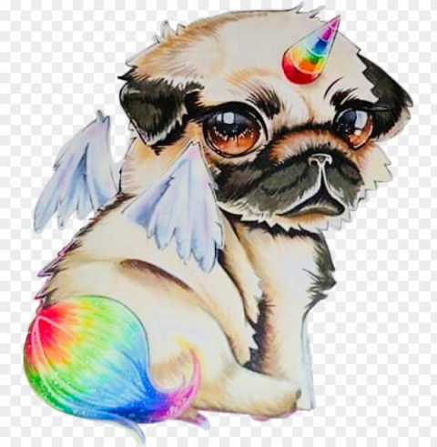 unidog rainbow anime chibi kawaii @buntereihe freetoedi - draw a unicorn do PNG without background