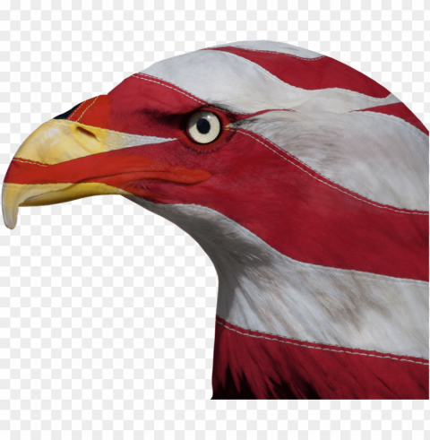 United States Of America PNG Image With Isolated Graphic Element