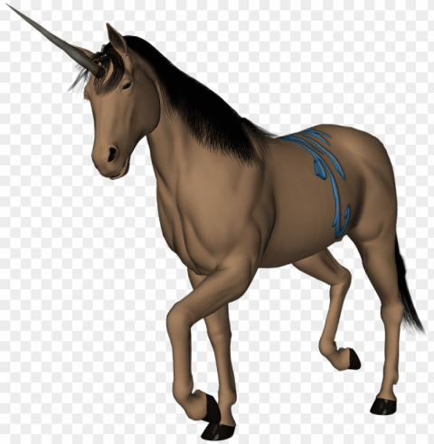 unrn horse fantasy creature fairytale horn - caballo y unrnio High-definition transparent PNG