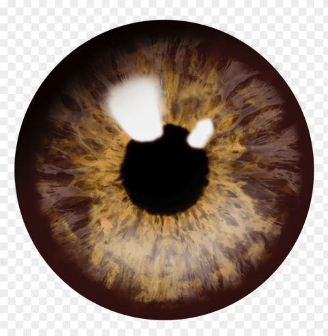 upils eye PNG no background free PNG transparent with Clear Background ID 402165c7