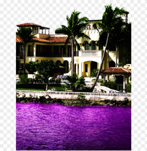 urple codeine lean double cup syrup sizzurp - mansion in miami Transparent Background PNG Isolated Icon