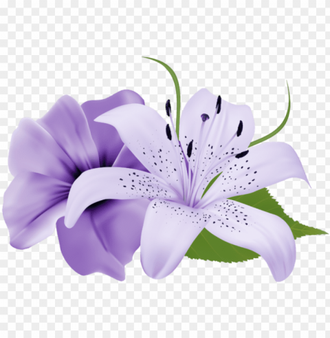 urple deco flowers clipart 179 0 - lily flower purple Clear Background PNG Isolated Subject