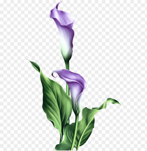 urple lily easter blessings card PNG for personal use