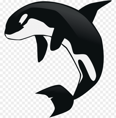 ustep orca 2048 - orca whale clipart transparent PNG graphics with alpha transparency broad collection