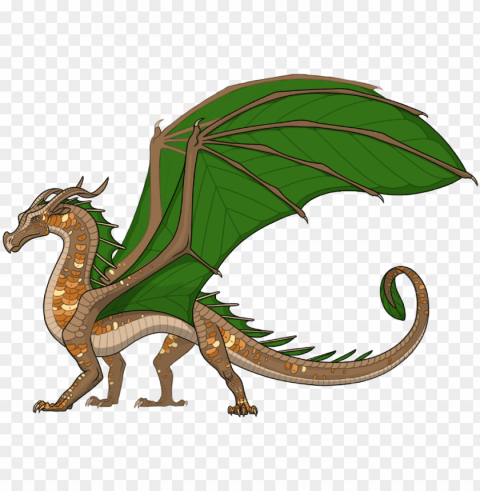 utmeg ref - wings of fire the hive quee Clear PNG graphics