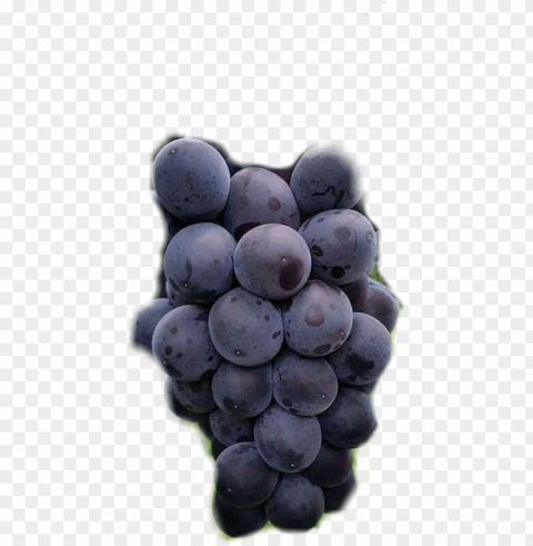 #uvas - grape Isolated Icon in HighQuality Transparent PNG