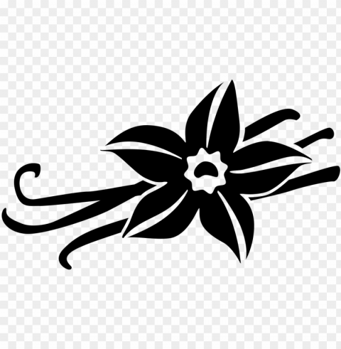 vanilla by laymik for the noun project - vanilla flower black and white free Clear PNG pictures broad bulk