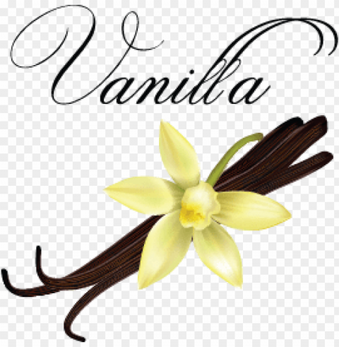 vanilla Clear background PNG images diverse assortment