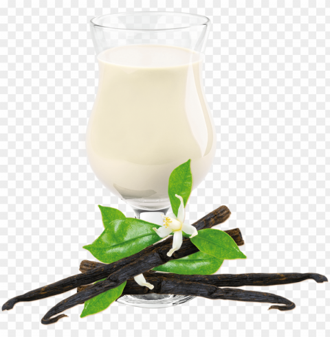 vanilla shake drink mix - ideal complete idealfast - vanilla flavor - meal substitute HighQuality Transparent PNG Object Isolation