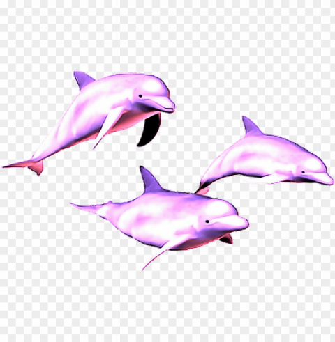 vaporwave aesthetic dolphins - vaporwave dolphi Transparent PNG images with high resolution