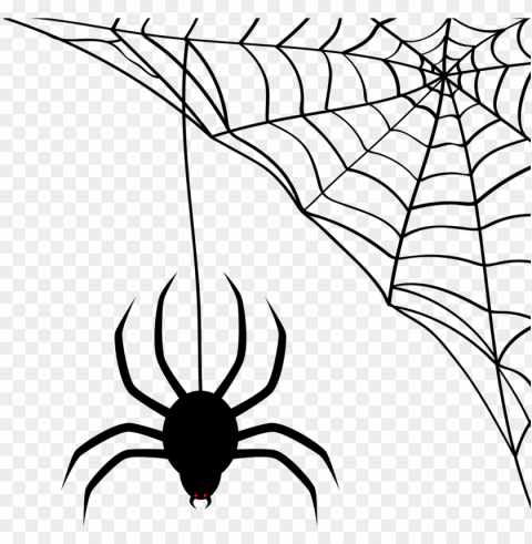 vector - aranha e teia hallowee Isolated Character in Clear Background PNG