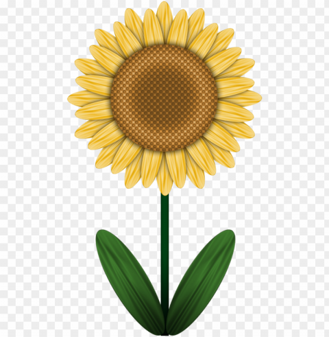 vector black and white drawing sunflower marker - chalktalksports basketball hook personalized basketball Transparent Background Isolated PNG Illustration