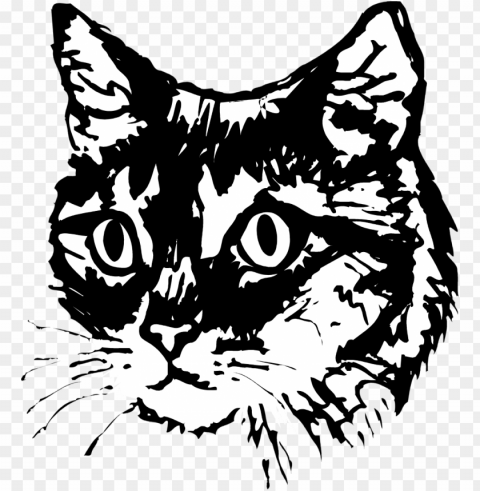 vector cats cat face clip black and white - cat face vector Free PNG transparent images