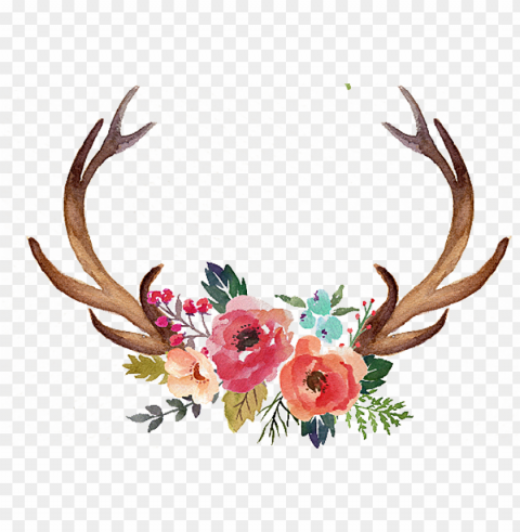 vector download antler flower moose clip art hand painted - deer antlers and flowers Isolated Design Element in HighQuality PNG