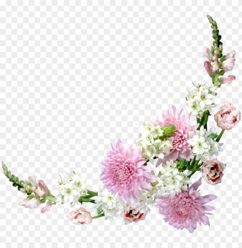 vector freeuse china aster and tuberose flowers meadows - corner flower bouquet free PNG images with no watermark