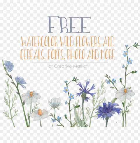 vector freeuse stock free watercolor ey to zee - wildflower Isolated Design Element in PNG Format
