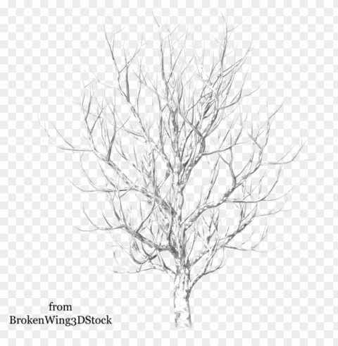 vector freeuse stock winter by brokenwing dstock on - winter snow tree High-resolution PNG