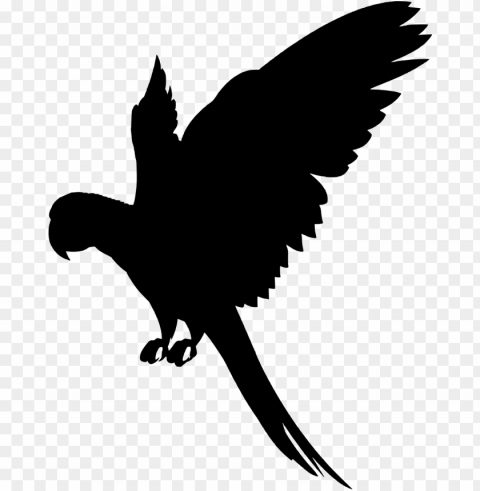 vector graphics - flying parrot silhouette Free PNG images with alpha transparency