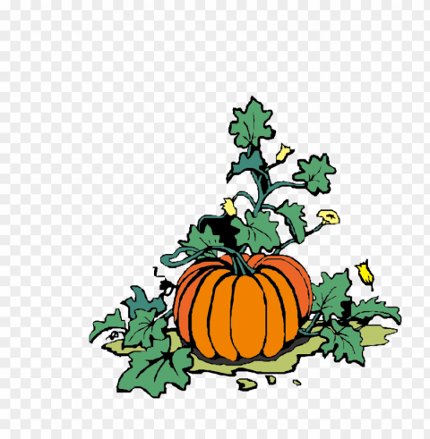 vector pumpkin with green leaves Isolated Subject in HighQuality Transparent PNG
