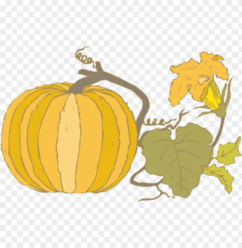 vector pumpkin with leaves autumn wall Isolated Subject in HighResolution PNG